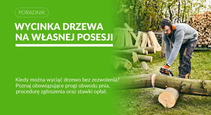 Mężczyzna w okularach i słuchawkach tnie piłą spalinową pień drzewa. Dowiedz się, jakie drzewo można ściąć bez pozwolenia na własnej posesji.